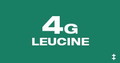 AMINO BUILD - 4g Leucine